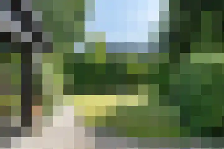 Bongerd 9 Aartswoud thumbnail 27
