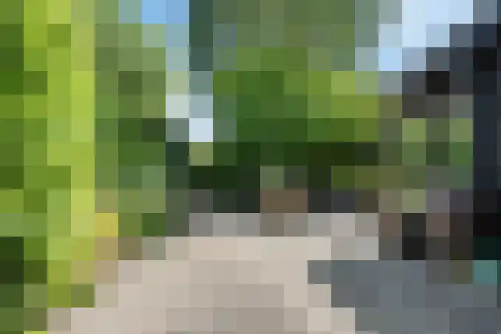 Bongerd 9 Aartswoud thumbnail 28