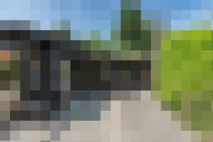 Bongerd 9 Aartswoud thumbnail 29