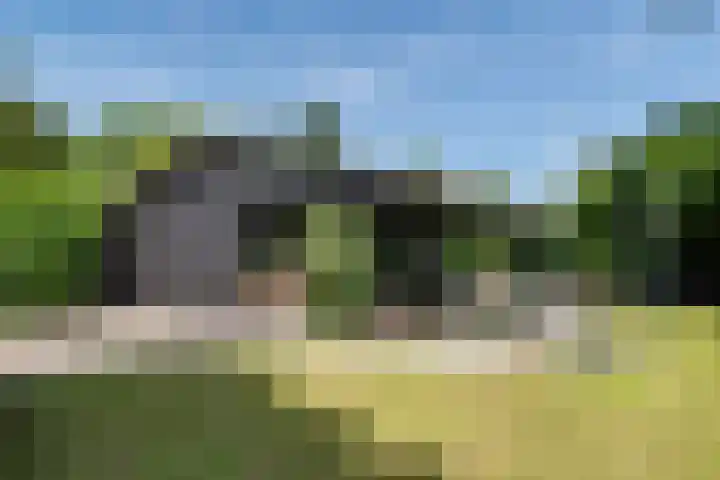 Bongerd 9 Aartswoud thumbnail 30