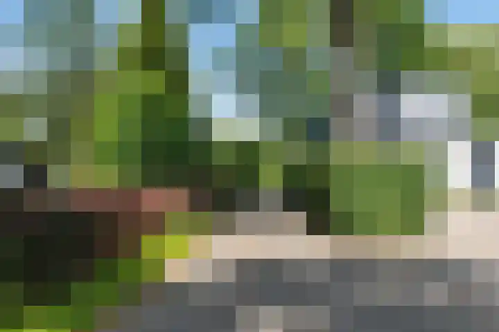 Bongerd 9 Aartswoud thumbnail 31