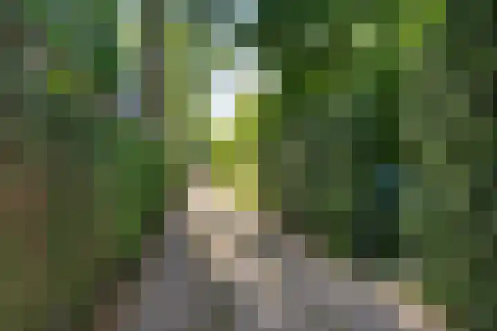 Bongerd 9 Aartswoud thumbnail 32