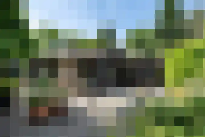 Bongerd 9 Aartswoud thumbnail 35