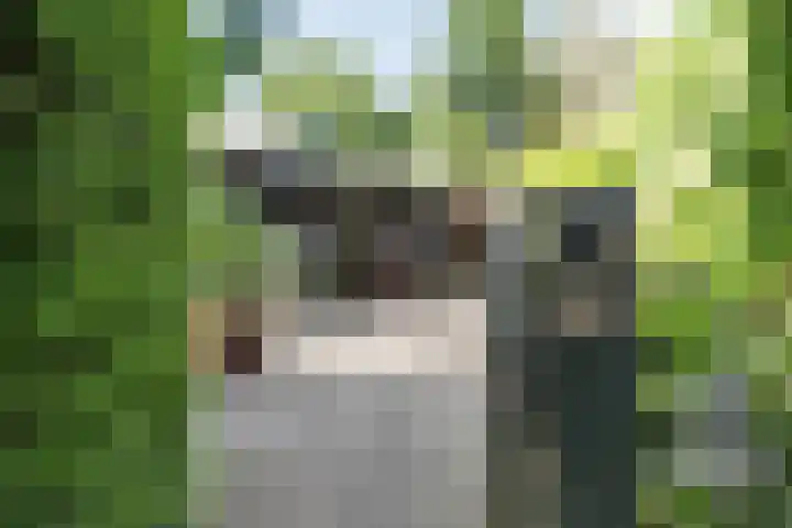 Bongerd 9 Aartswoud thumbnail 4