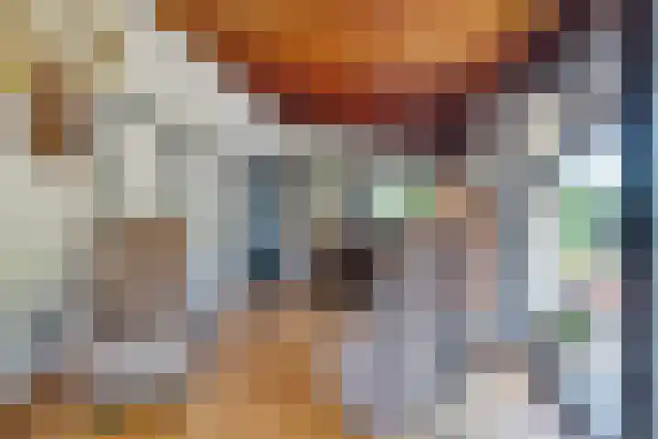 Bongerd 9 Aartswoud thumbnail 5