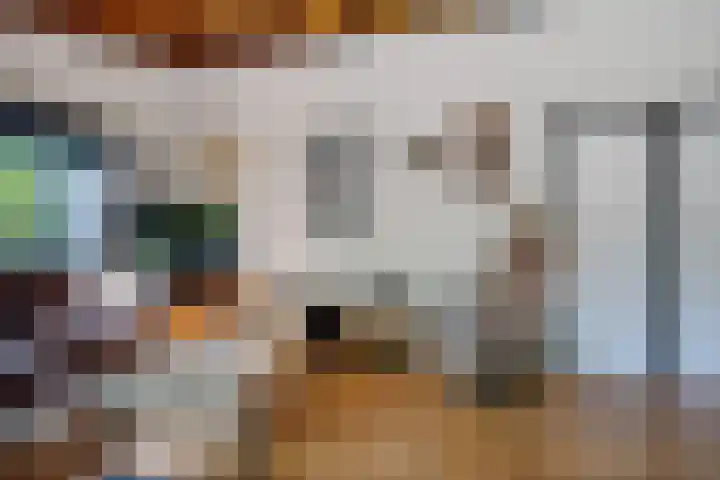Bongerd 9 Aartswoud thumbnail 7