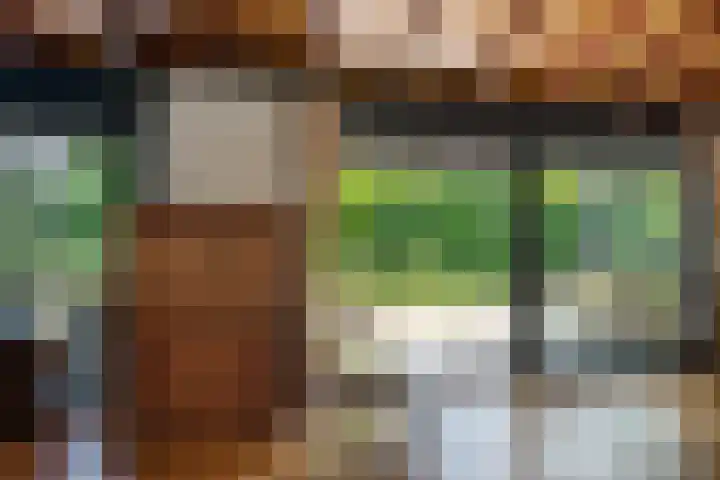Bongerd 9 Aartswoud thumbnail 8