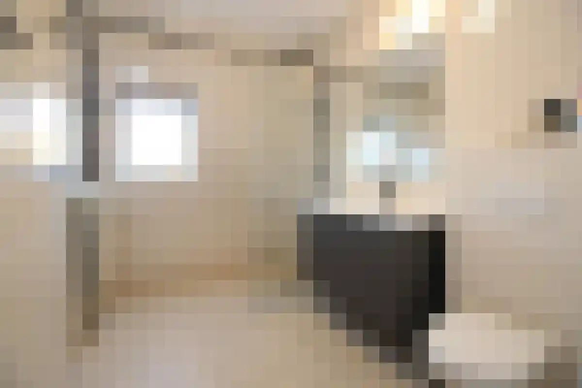 Bongerd Hendrik-Ido-Ambacht thumbnail 6