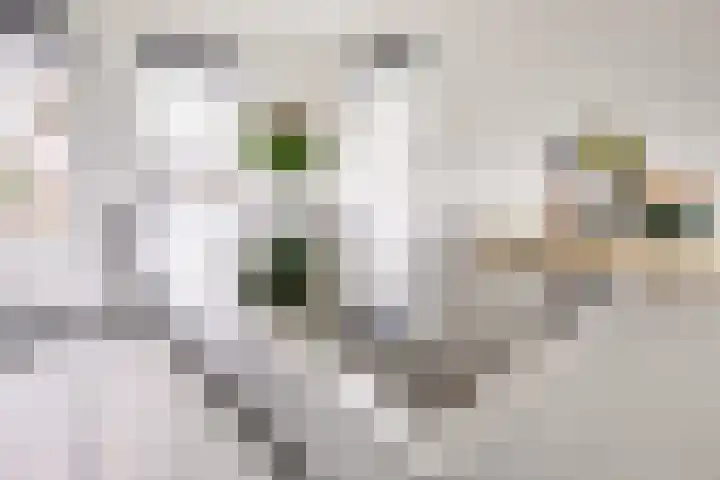 Bongerdhoeve 7 Nieuwegein thumbnail 15