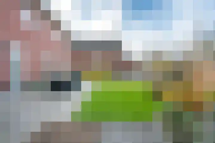 Bongerdhoeve 7 Nieuwegein thumbnail 19