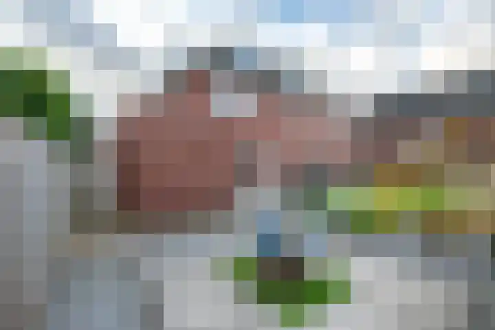 Bongerdhoeve 7 Nieuwegein thumbnail 20