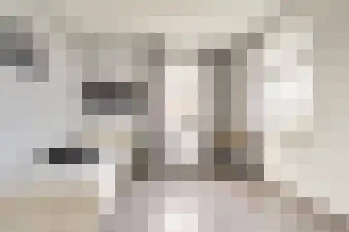 Bongerdhoeve 7 Nieuwegein thumbnail 30