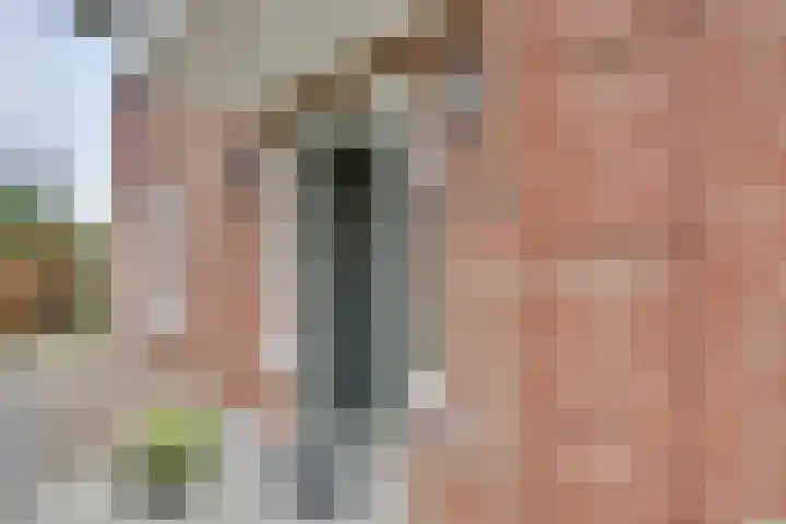 Bongerdhoeve 7 Nieuwegein thumbnail 46