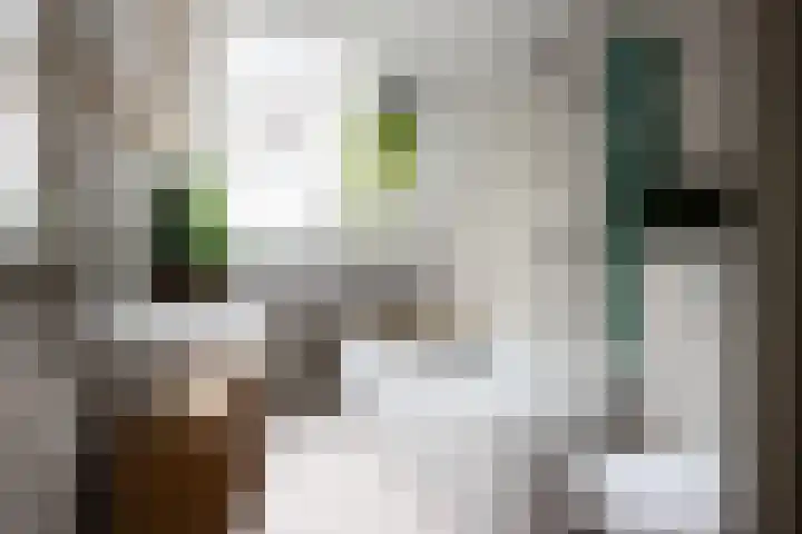 Bongerdlaan 23 Bilthoven thumbnail 23