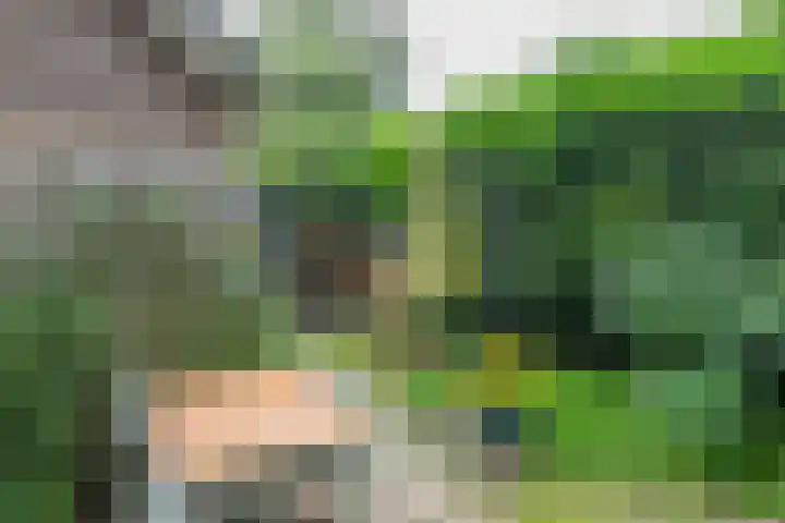 Bongerdlaan 23 Bilthoven thumbnail 25