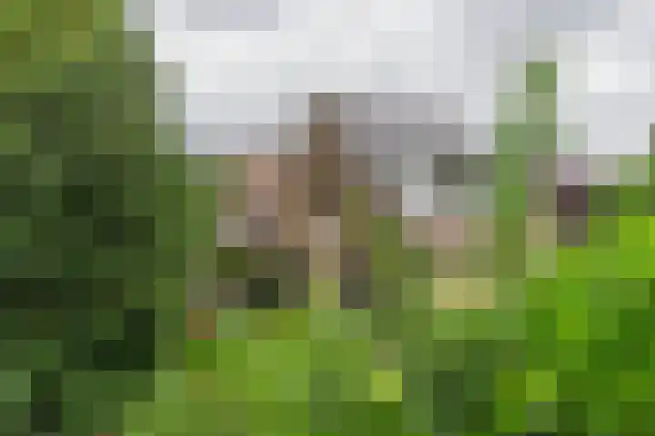 Bongerdlaan 23 Bilthoven thumbnail 4