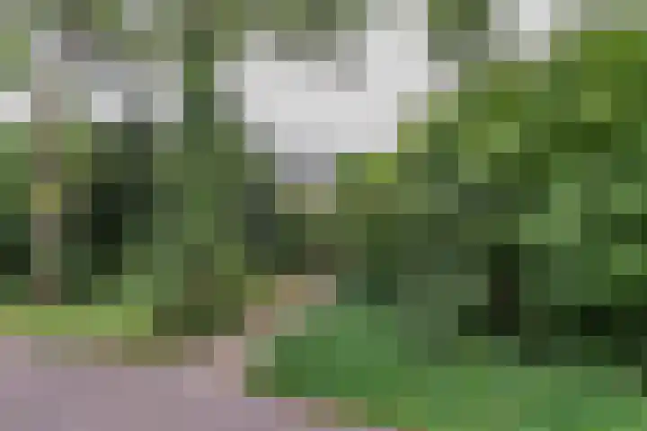 Bongerdlaan 23 Bilthoven thumbnail 5