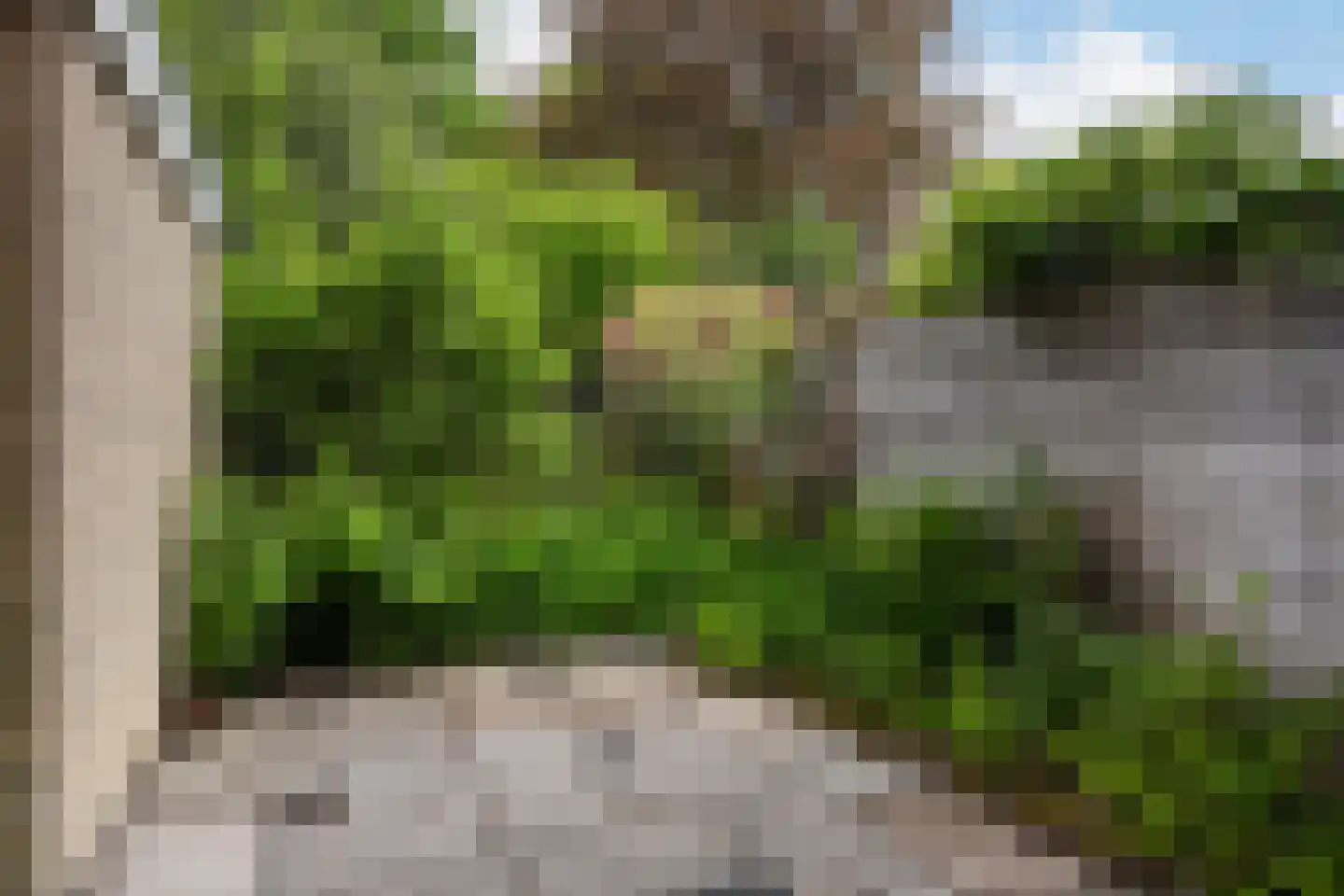 Bongerdlaan 28 Bilthoven thumbnail 20