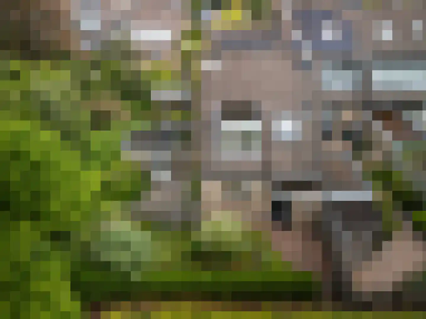 Bongerdlaan 28 Bilthoven thumbnail 22