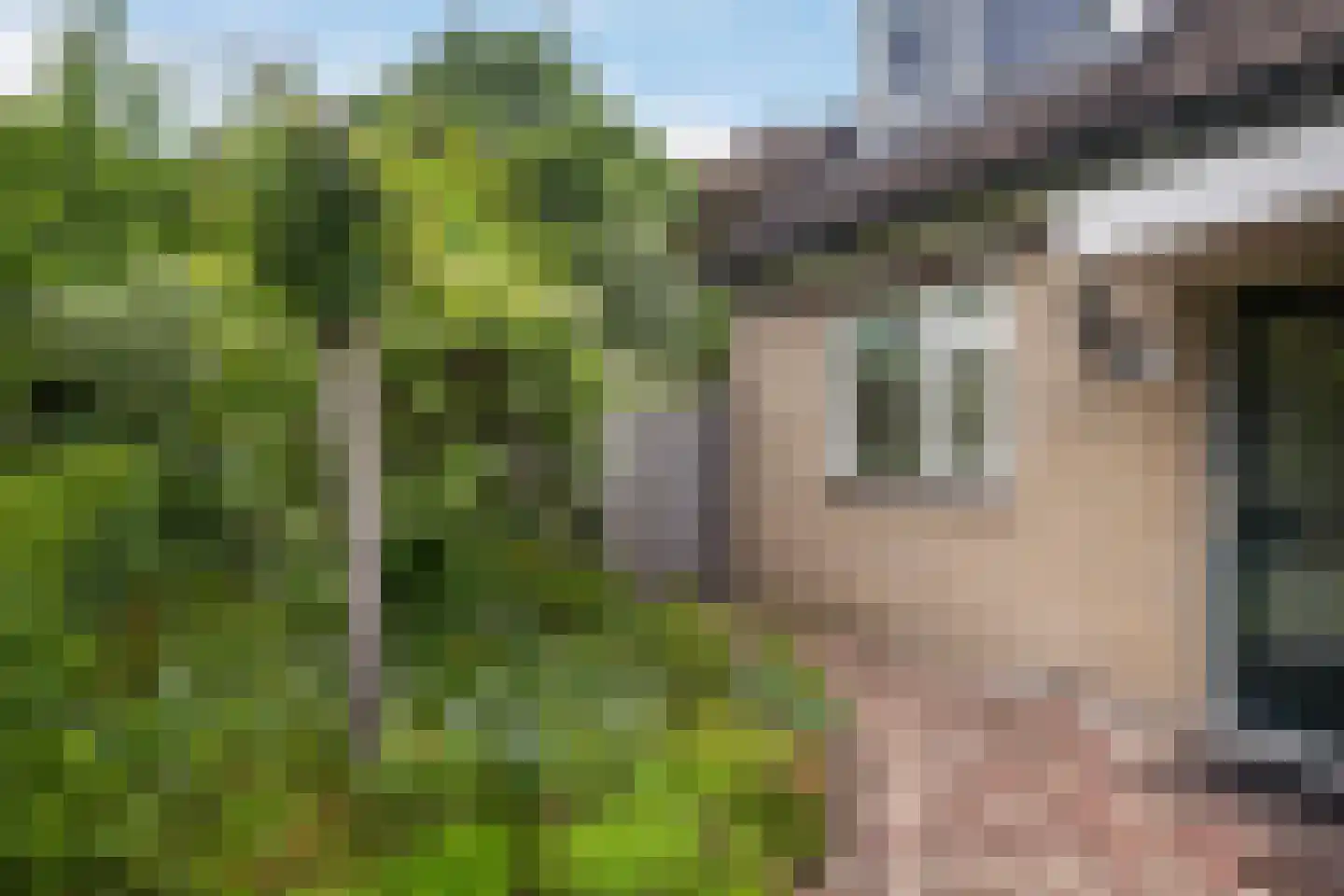 Bongerdlaan 28 Bilthoven thumbnail 23