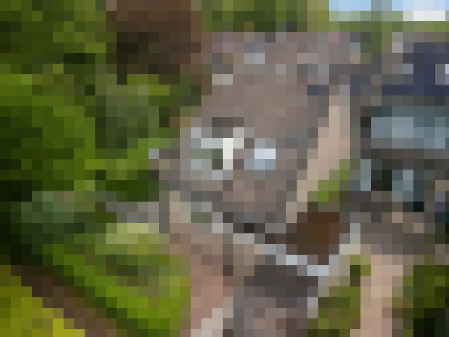Bongerdlaan 28 Bilthoven thumbnail 24