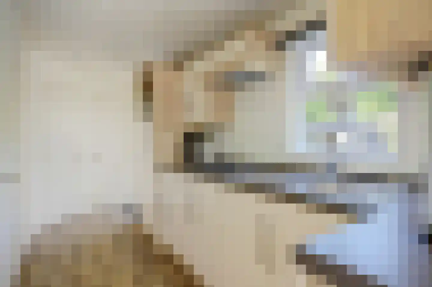 Bongerdlaan 3 91 Tuitjenhorn thumbnail 13
