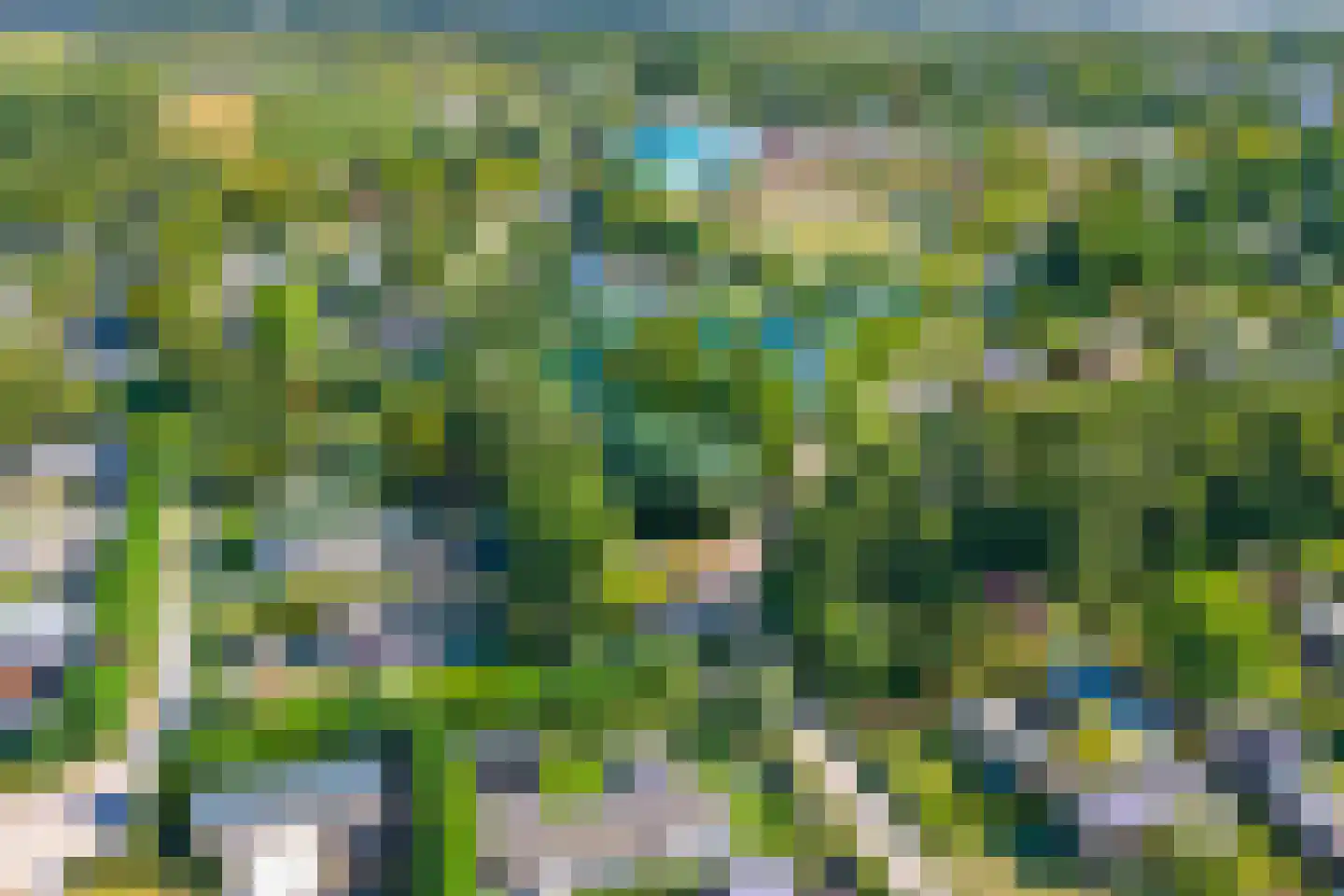 Bongerdlaan 3 91 Tuitjenhorn thumbnail 42