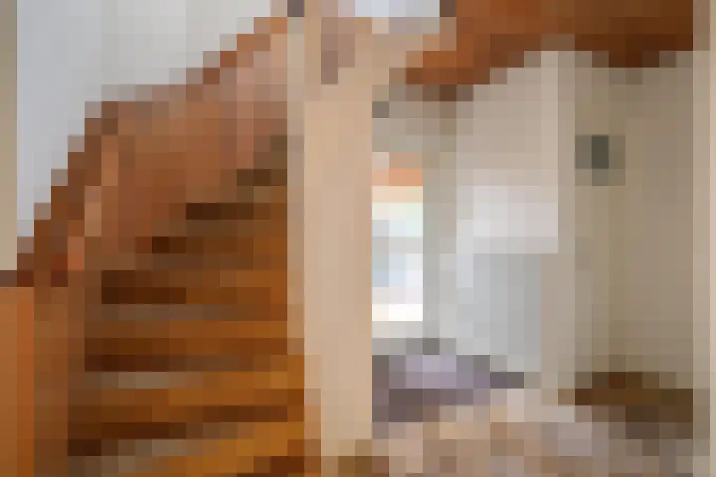Bongerdplein 22 Epe thumbnail 12