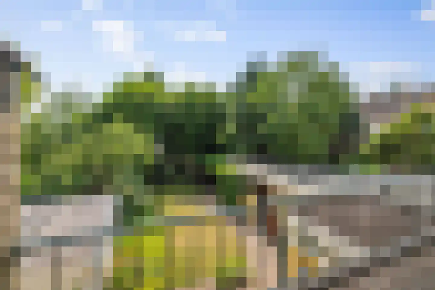 Bongerdplein 22 Epe thumbnail 18