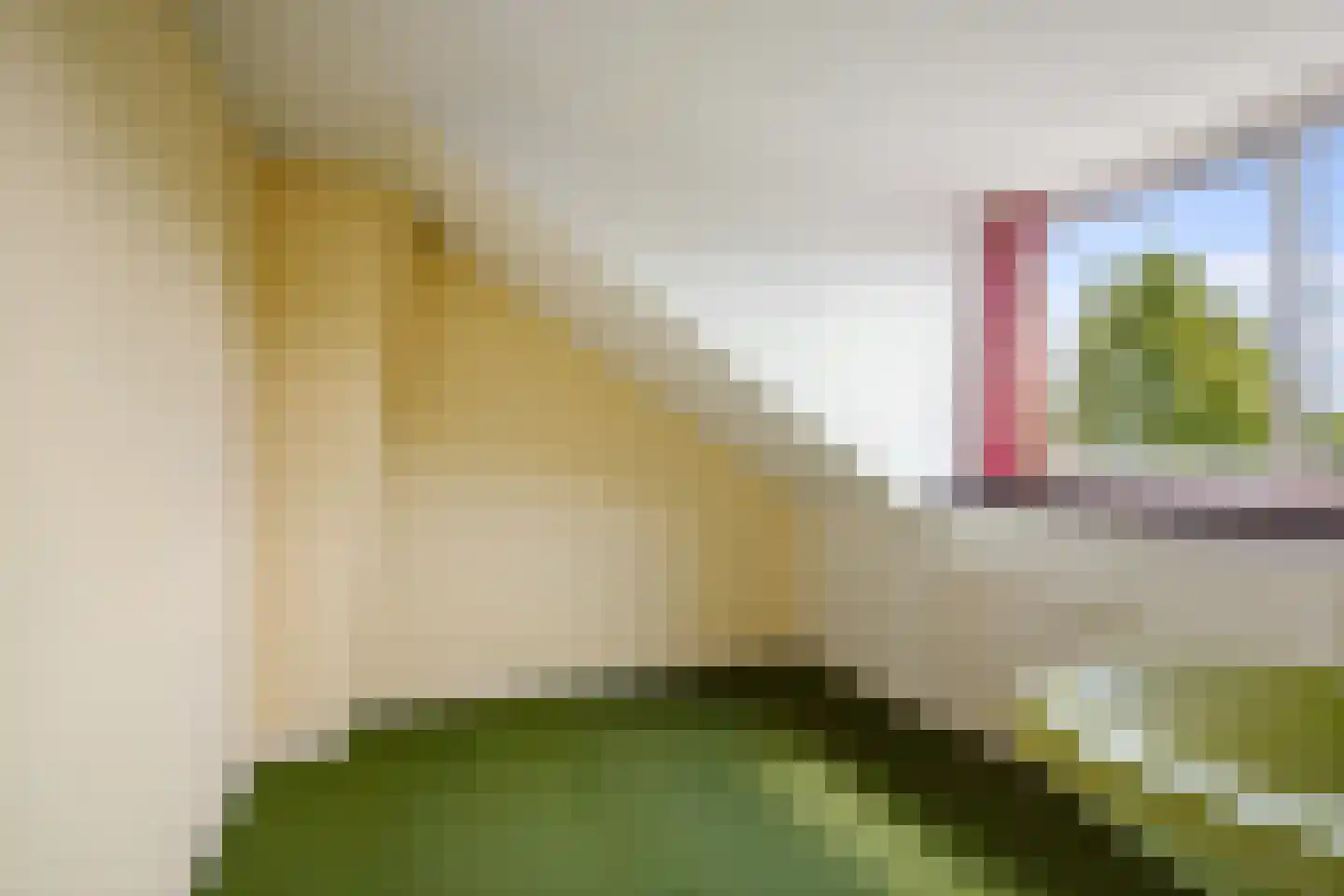 Bongerdplein 22 Epe thumbnail 25