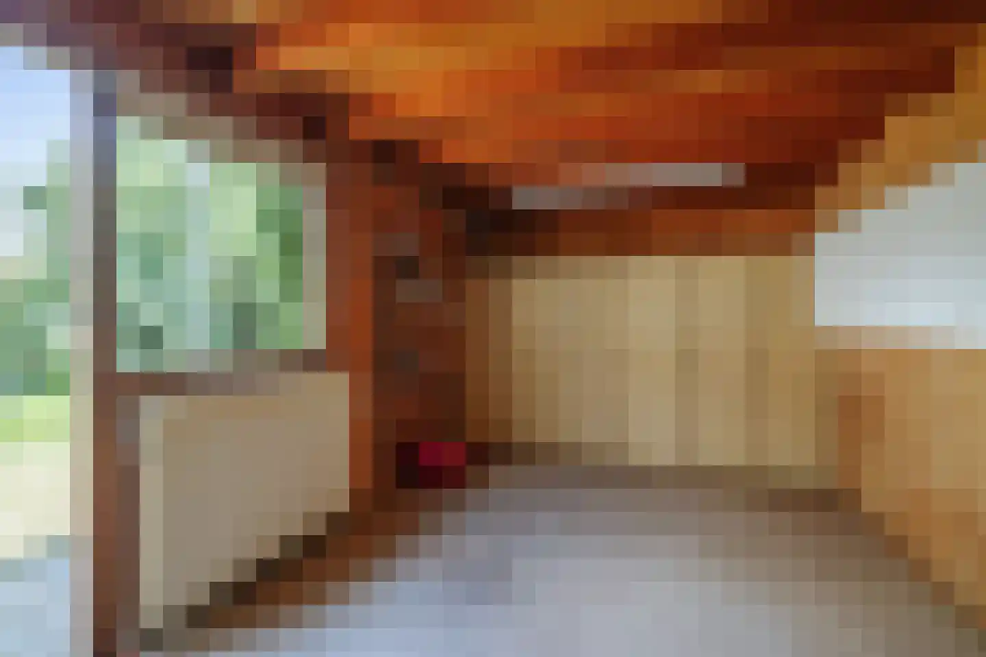 Bongerdplein 22 Epe thumbnail 34