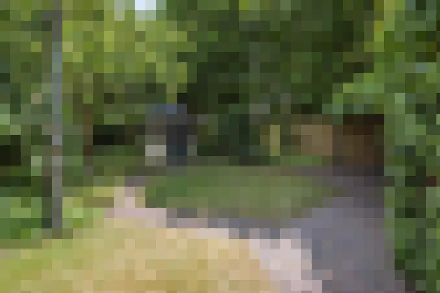 Bongerdplein 22 Epe thumbnail 39