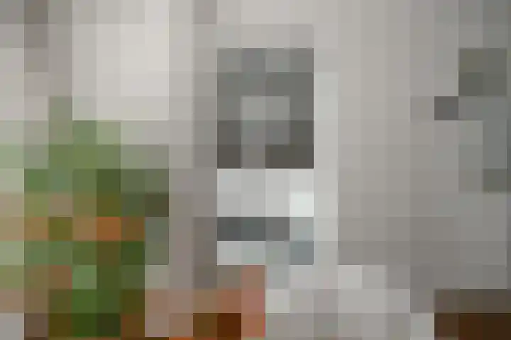 Bongerdplein 31 Epe thumbnail 17