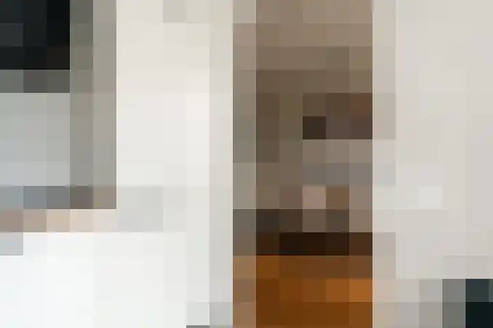 Bongerdplein 31 Epe thumbnail 20