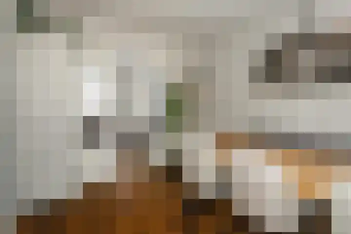 Bongerdplein 31 Epe thumbnail 22