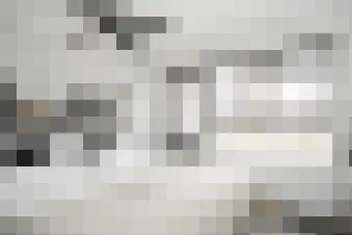 Bongerdplein 31 Epe thumbnail 24
