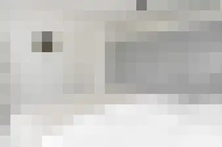 Bongerdplein 31 Epe thumbnail 25