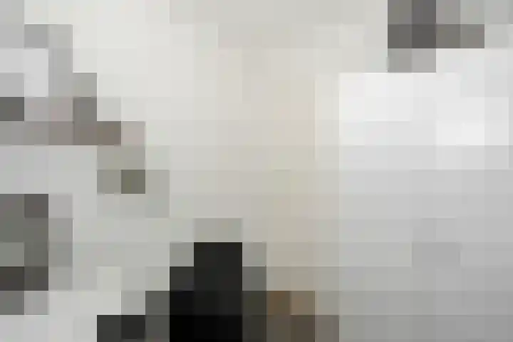 Bongerdplein 31 Epe thumbnail 29