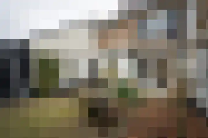 Bongerdplein 31 Epe thumbnail 39