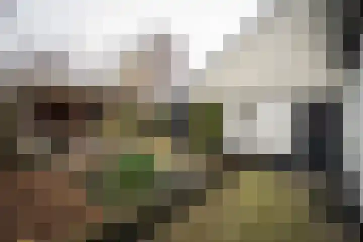 Bongerdplein 31 Epe thumbnail 40