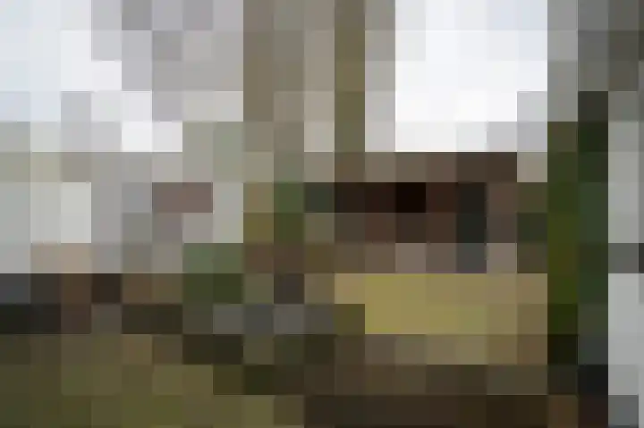 Bongerdplein 31 Epe thumbnail 41