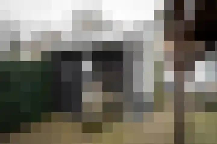 Bongerdplein 31 Epe thumbnail 43