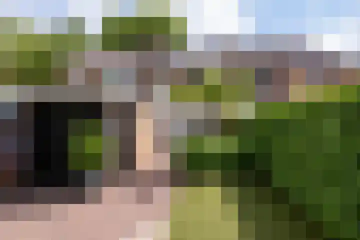 Bongerdplein 33 Epe foto 2