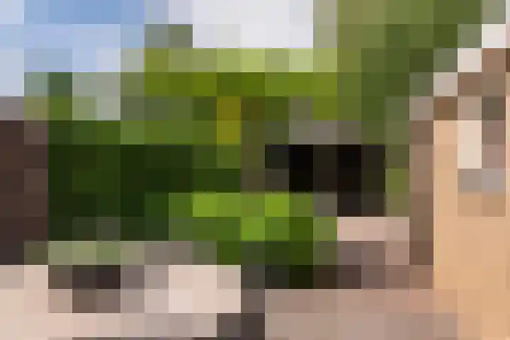 Bongerdplein 33 Epe thumbnail 35