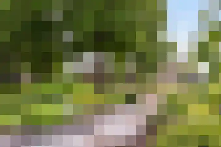 Bongerdplein 33 Epe thumbnail 37