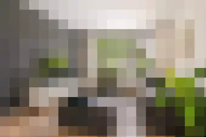 Bongerdplein 33 Epe thumbnail 5