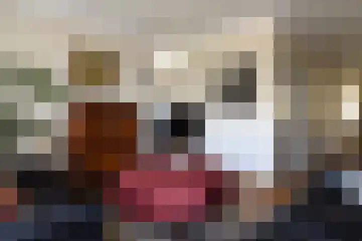 Bongerdplein 46 Bocholtz thumbnail 10