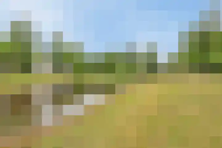 Bongerdsteeg 2 C Harderwijk thumbnail 17
