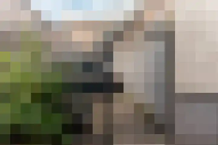 Bongerdsteeg 2 C Harderwijk thumbnail 20