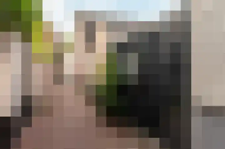 Bongerdsteeg 2 C Harderwijk thumbnail 22